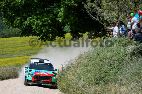 Rally Adriatico 2025
Cingoli MC 3 4 Maggio 2025
Campionato Italiano Rally Terra Rally Adriatico 2025
Cingoli MC 3 4 Maggio 2025
Campionato Italiano Rally Terra