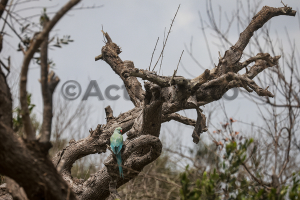 Rally del Salento 2025
Torre San Giovanni LE 23 24 Maggio 2025
Trofeo Italiano Rally Rally del Salento 2025
Torre San Giovanni LE 23 24 Maggio 2025
Trofeo Italiano Rally