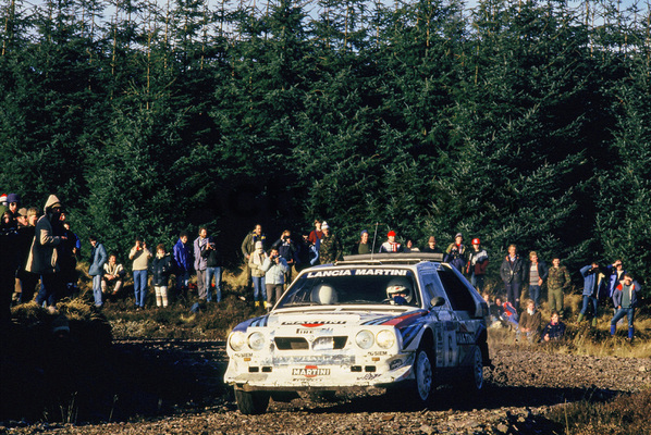 WRC 19 WRC 19