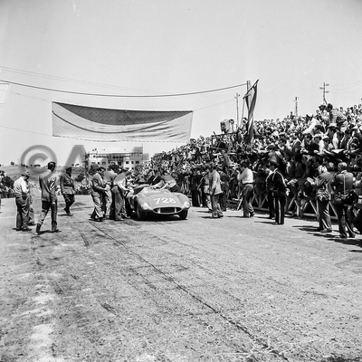 1000 Miglia 1955 1000 Miglia 1955