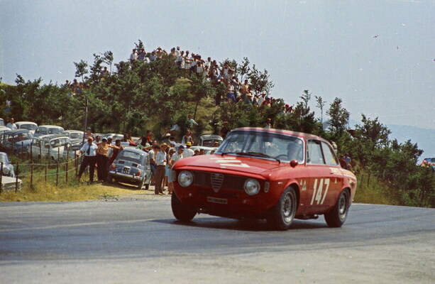 Alfa Collection 21 Pianta Giorgio