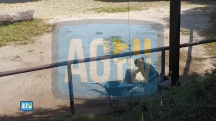 Estate al Bioparco di Roma lo staff distribuisce ghiaccioli agli animali contro l emergenza caldo