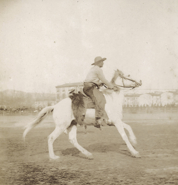 FVQ F 103025 FVQ F 103025