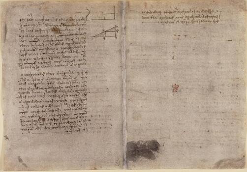 BLB F 018557