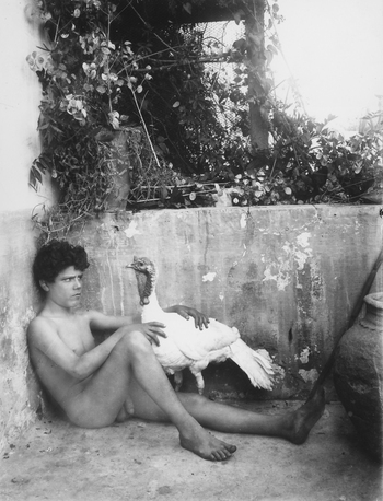 GWN F 001131 GWN F 001131