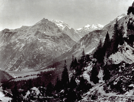 PDC F 003713 PDC F 003713