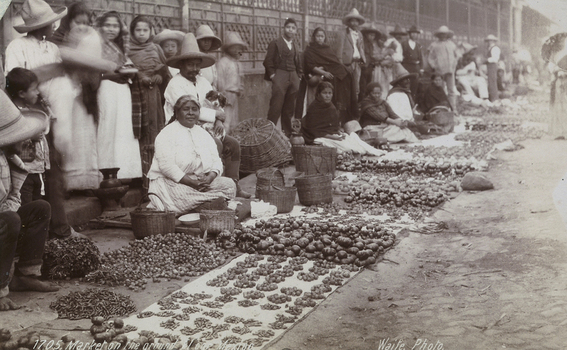 AVQ A 004052 AVQ A 004052