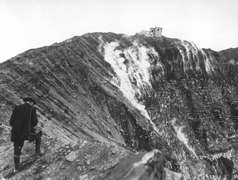 TCR F 002287
