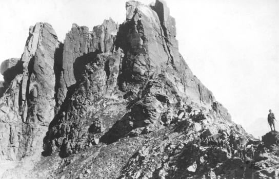 TCI S 000212