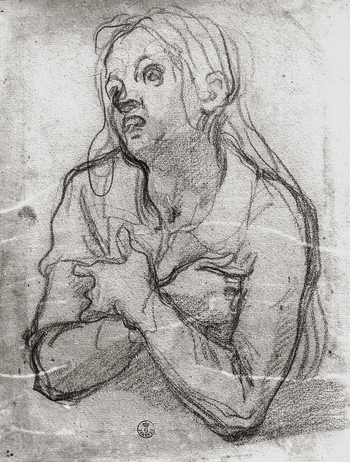 MAA F 006546