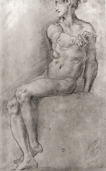 MAA F 006540
