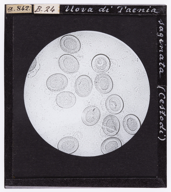 RGD S 000B24 RGD S 000B24