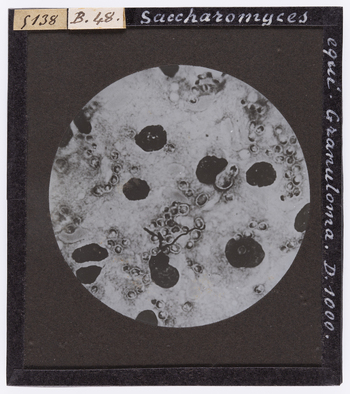 RGD S 000B48 RGD S 000B48