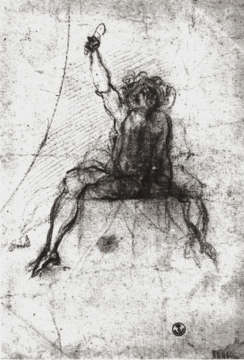 MAA F 006646