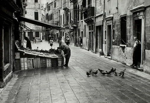 CGD F 001565 CGD F 001565