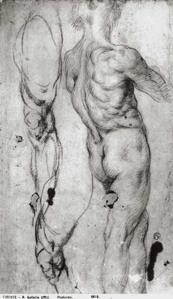 MAA F 006618