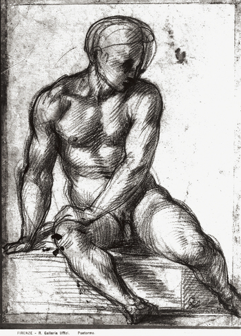 MAA F 006524