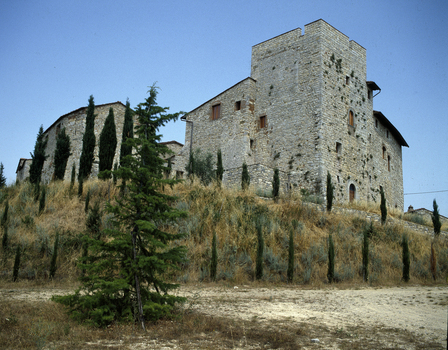 BEN F 013397