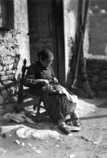 BVA S 000353 BVA S 000353