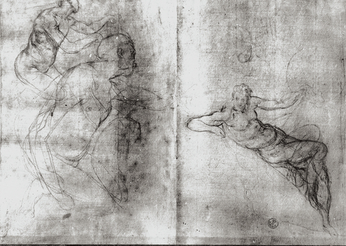 MAA F 006548