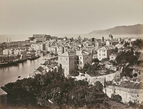 AVQ A 000439 AVQ A 000439