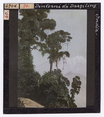 RGD S 000070 RGD S 000070