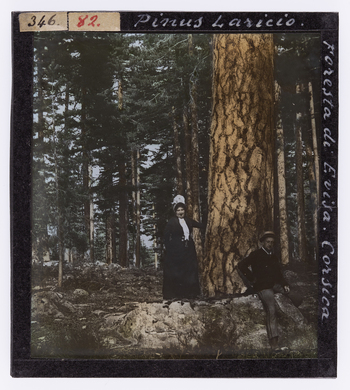 RGD S 000082 RGD S 000082