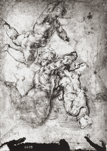 MAA F 006699