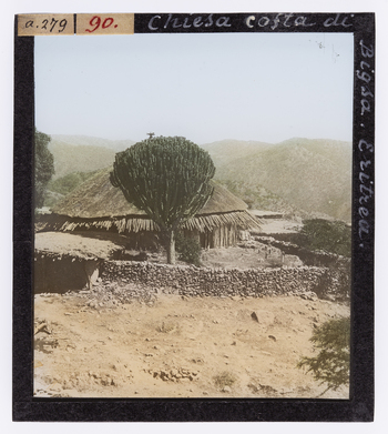 RGD S 000090 RGD S 000090