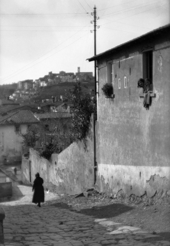 BVA S 000353 BVA S 000353