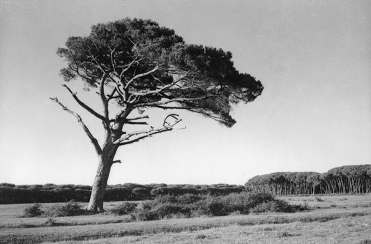 BVA S 000200 BVA S 000200