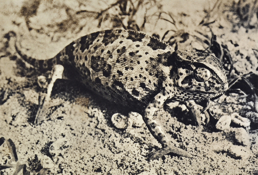 FCC A 000067 FCC A 000067