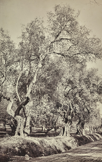 AVQ A 000992 AVQ A 000992