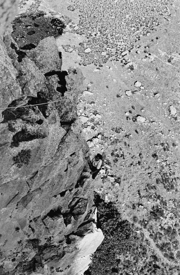 MFV S NS0167