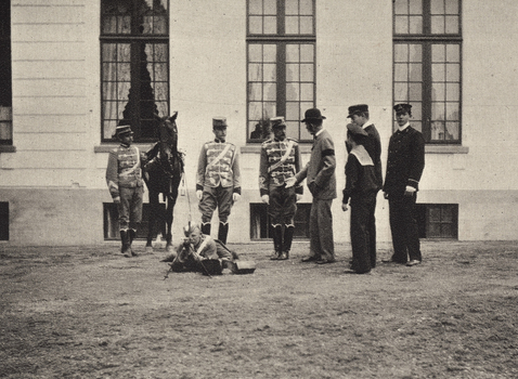 AVQ A 001839 AVQ A 001839