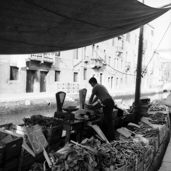 OMD N 000452 OMD N 000452