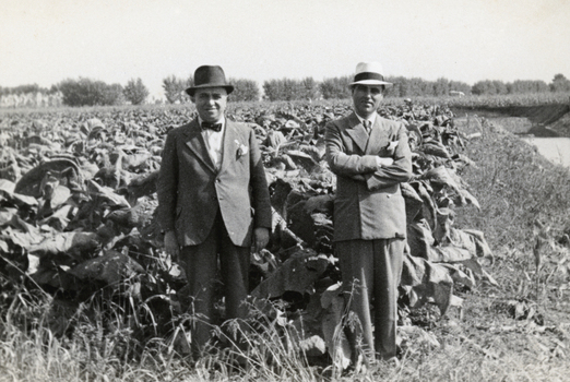 FVD F 013695