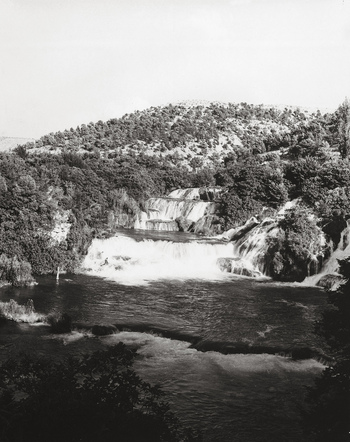 SDA F 001946