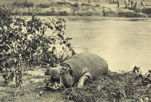 FCC A 000067 FCC A 000067