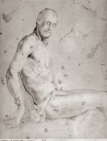MAA F 006619