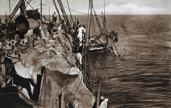 FCC A 000067 FCC A 000067