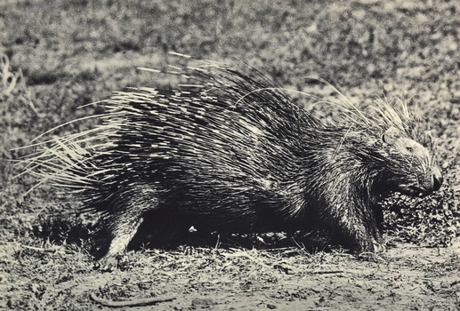 FCC A 000067 FCC A 000067