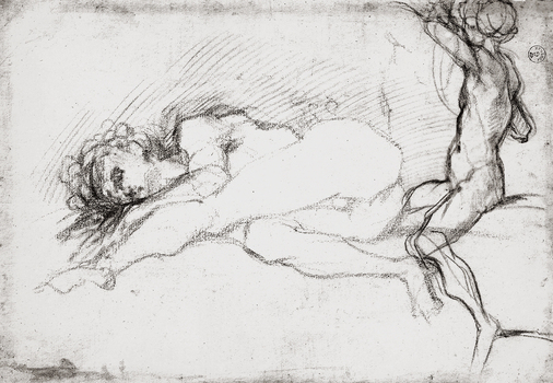 MAA F 006557