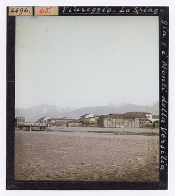 RGD S 000065 RGD S 000065