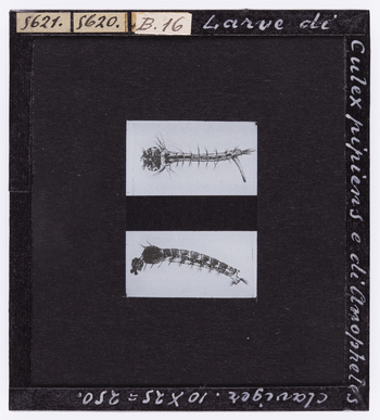 RGD S 000B16 RGD S 000B16