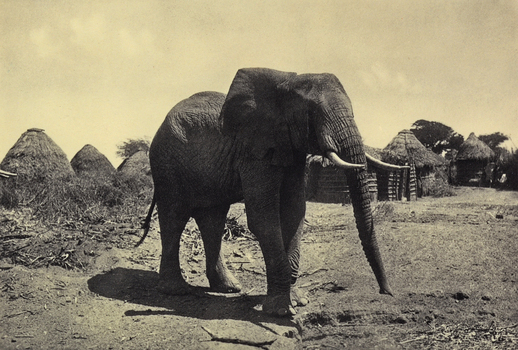 FCC A 000067 FCC A 000067