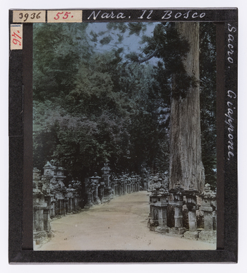 RGD S 000055 RGD S 000055