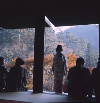 MFV S JPN042 MFV S JPN042