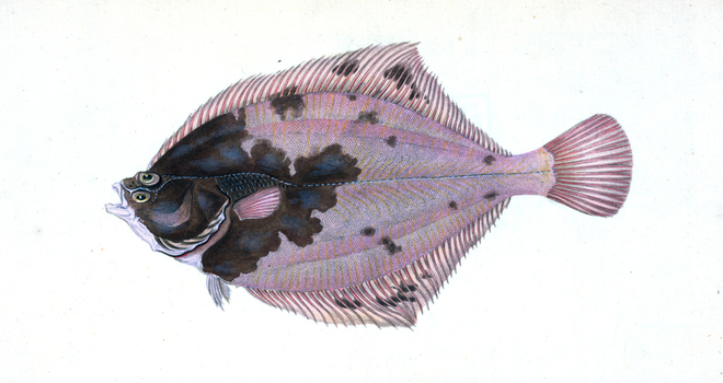 LCA F 000848