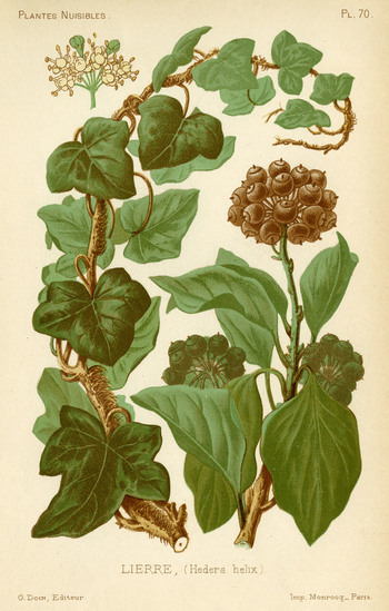 EVA S 001019 EVA S 001019